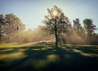 Vårmöteshandlingar