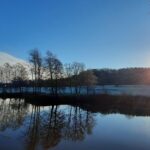 Frostmorgon 2021-11-16 av C. Eriksson