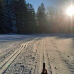 received_278989474140875