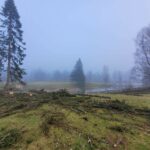 received_3230268140590461