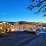 vintermorgon 30mars-22