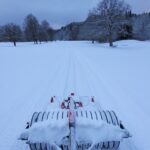 319711441_516604150236556_2286551183372338959_n