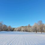 received_521856496663845