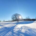 331419323_165740922976577_1286994754046723921_n