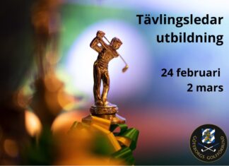 Tävlingsledare sökes !