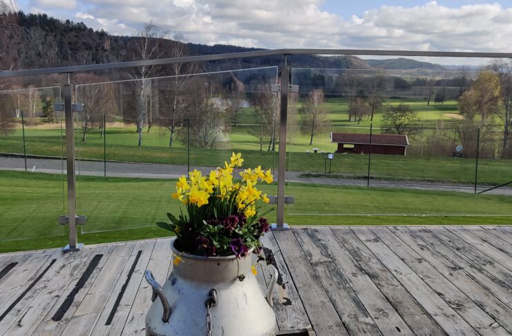 Från Lysegårdens Trädgårdsgrupp