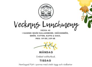 Lunchmeny V.45