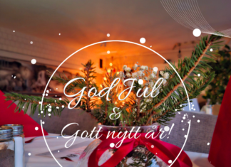God jul och gott nytt år!