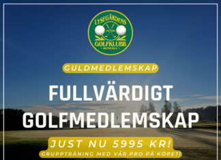 Guldmedlem till kampanjpris!