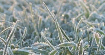 Vad gäller vid frost?