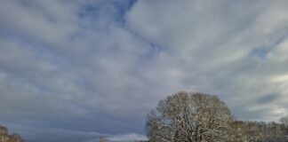 Utökade öppettider restaurangen 10-11/1