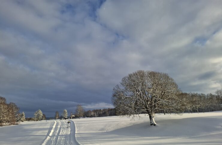 Utökade öppettider restaurangen 10-11/1