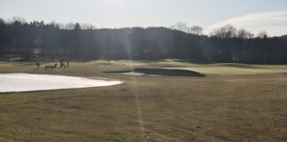 9-hålsbanan öppnar med ordinarie greener